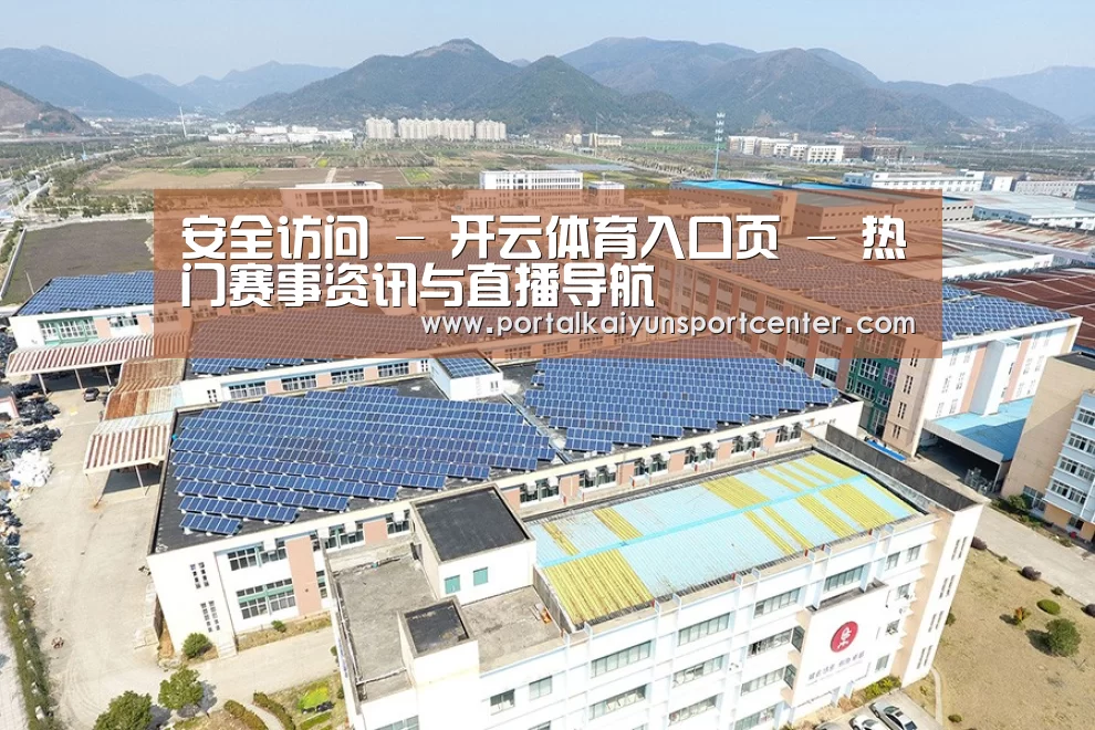 案例展示二