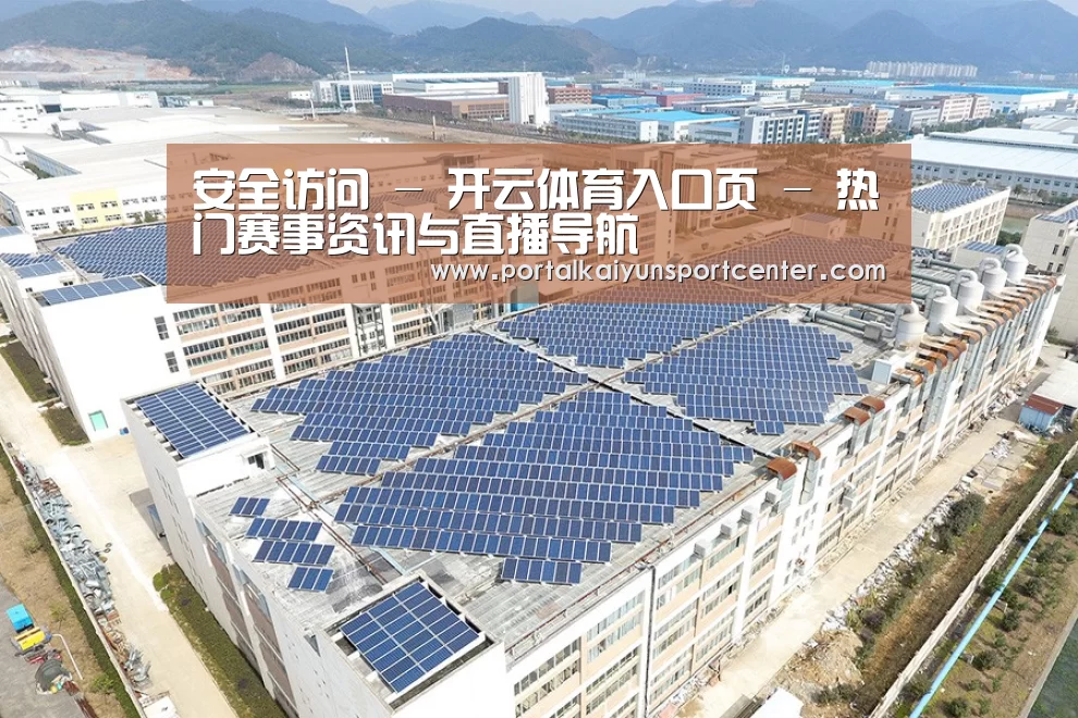 案例展示一