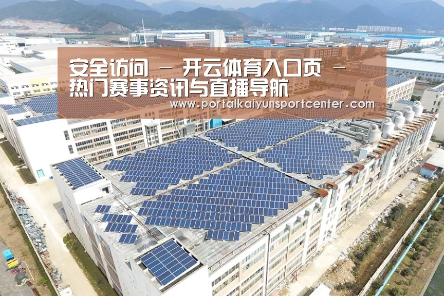 案例展示三