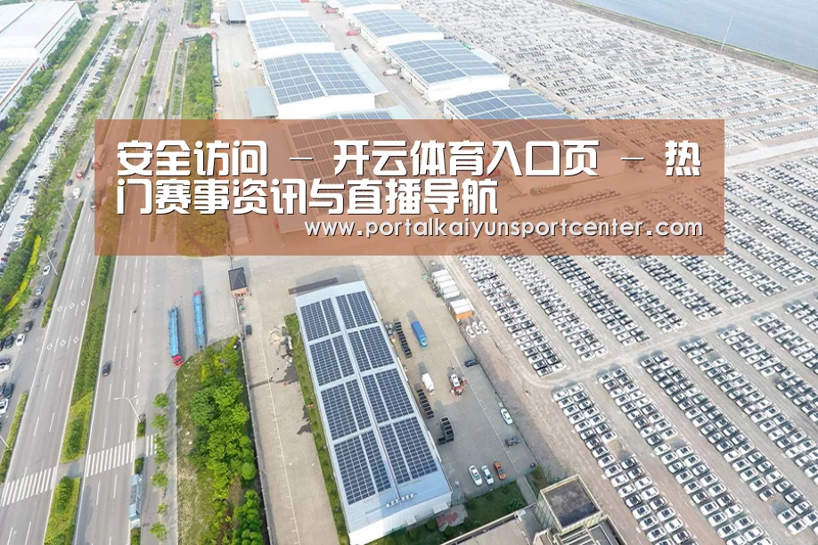 案例展示一