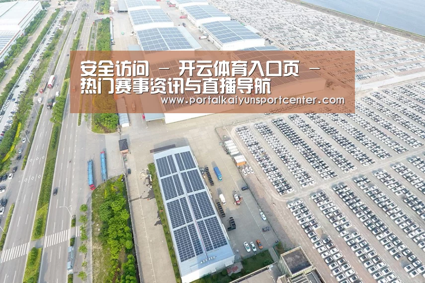 案例展示一