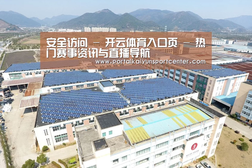 案例展示三