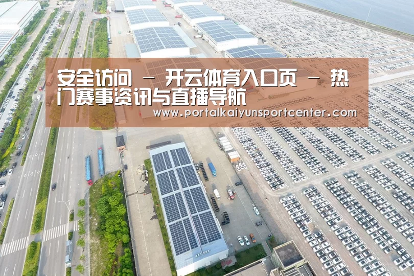 案例展示三